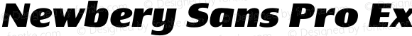 Newbery Sans Pro Expanded ExtraBold Italic