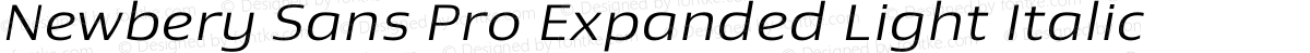 Newbery Sans Pro Expanded Light Italic