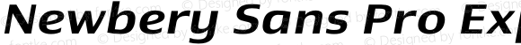 Newbery Sans Pro Expanded Medium Italic