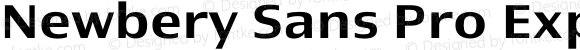 Newbery Sans Pro Expanded Medium