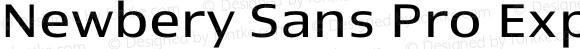 Newbery Sans Pro Expanded Regular