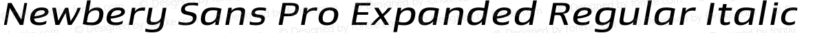 Newbery Sans Pro Expanded Regular Italic