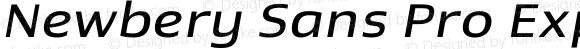 Newbery Sans Pro Expanded Regular Italic