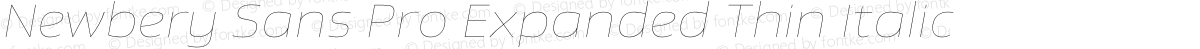 Newbery Sans Pro Expanded Thin Italic
