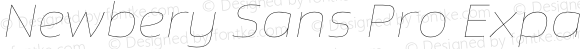 Newbery Sans Pro Expanded Thin Italic
