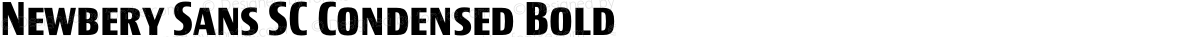 Newbery Sans SC Condensed Bold