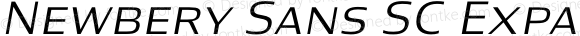Newbery Sans SC Expanded Light Italic