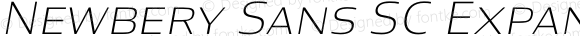 Newbery Sans SC Expanded ExtraLight Italic