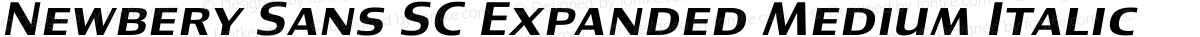 Newbery Sans SC Expanded Medium Italic