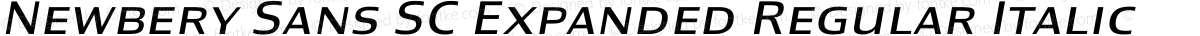 Newbery Sans SC Expanded Regular Italic