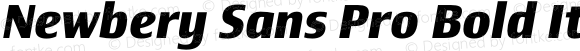 Newbery Sans Pro Bold Italic
