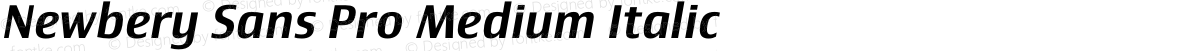 Newbery Sans Pro Medium Italic