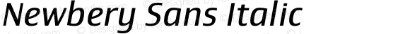 Newbery Sans Regular Italic