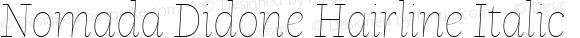 Nomada Didone Hairline Italic