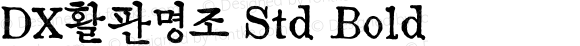 DX활판명조 Std Bold