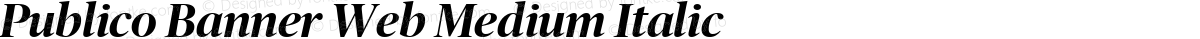 Publico Banner Web Medium Italic