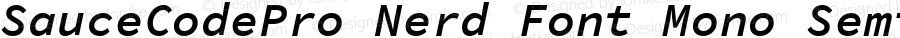 SauceCodePro Nerd Font Mono Semibold Italic