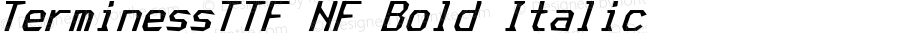 Terminess (TTF) Bold Italic Nerd Font Complete Mono Windows Compatible
