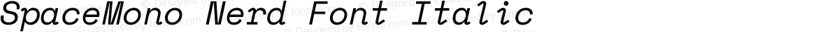 SpaceMono Nerd Font Italic