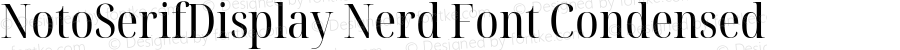 Noto Serif Display Condensed Nerd Font Complete