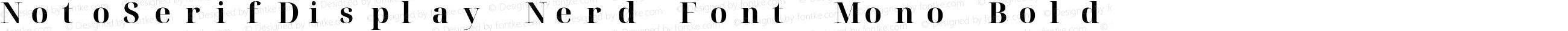 Noto Serif Display Bold Nerd Font Complete Mono