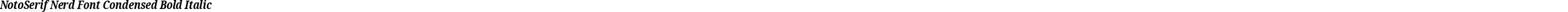 NotoSerif Nerd Font Condensed Bold Italic