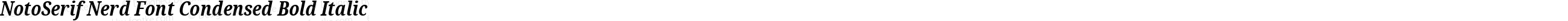 NotoSerif Nerd Font Condensed Bold Italic