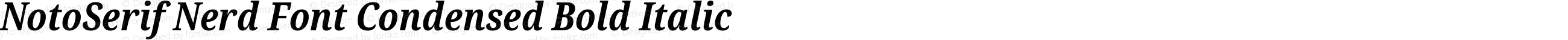 NotoSerif Nerd Font Condensed Bold Italic