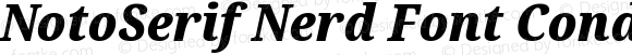 NotoSerif Nerd Font Condensed Black Italic