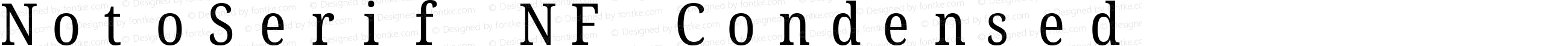 NotoSerif NF Condensed