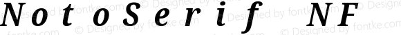 NotoSerif NF Condensed Bold Italic