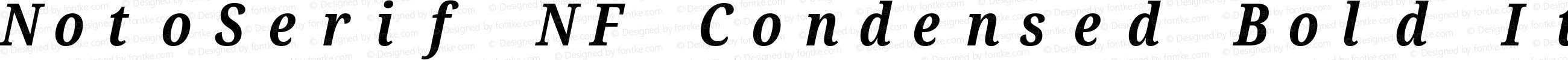 NotoSerif NF Condensed Bold Italic