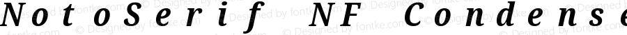 NotoSerif NF Condensed Bold Italic