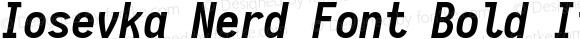 Iosevka Nerd Font Bold Italic