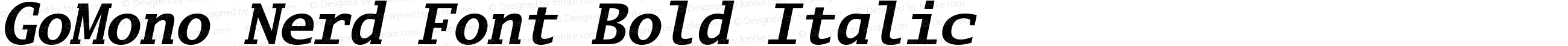 GoMono Nerd Font Bold Italic