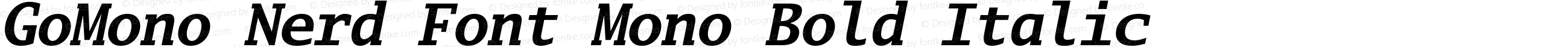 Go Mono Bold Italic Nerd Font Complete Mono