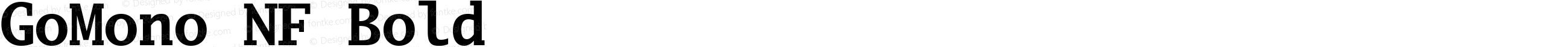 Go Mono Bold Nerd Font Complete Windows Compatible