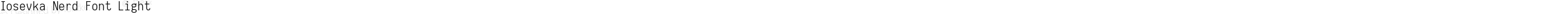 Iosevka Nerd Font Light