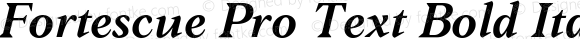 Fortescue Pro Text Bold Italic