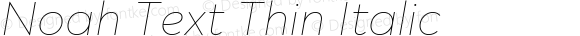 Noah Text Thin Italic