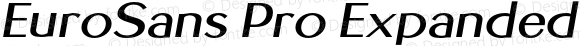 EuroSans Pro Expanded Bold Oblique