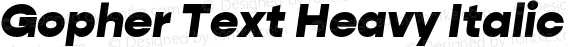 Gopher Text Heavy Italic