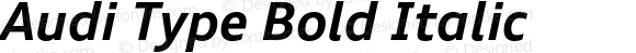 Audi Type Bold Italic