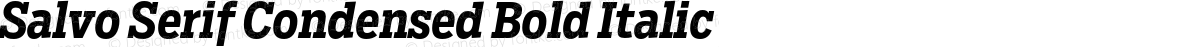 Salvo Serif Condensed Bold Italic
