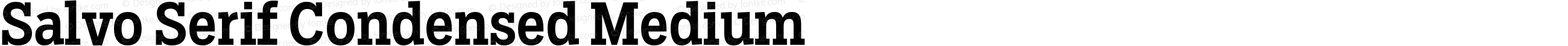 Salvo Serif Condensed Medium