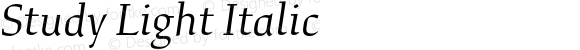 Study Light Italic