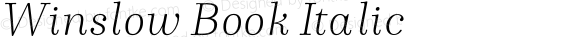 WinslowBook-HairlineItalic