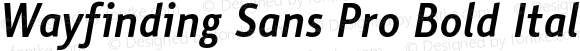 Wayfinding Sans Pro Bold Italic
