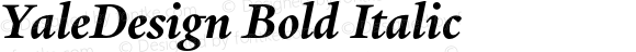 YaleDesign Bold Italic