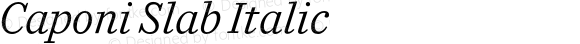 Caponi Slab Italic